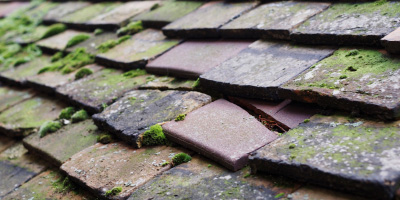 Cwmfelin Mynach roof repair costs
